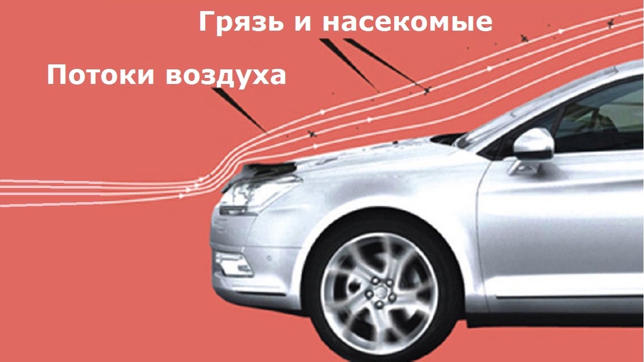 Для чего машине нужна мухобойка
