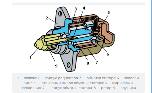 Из чего состоит?